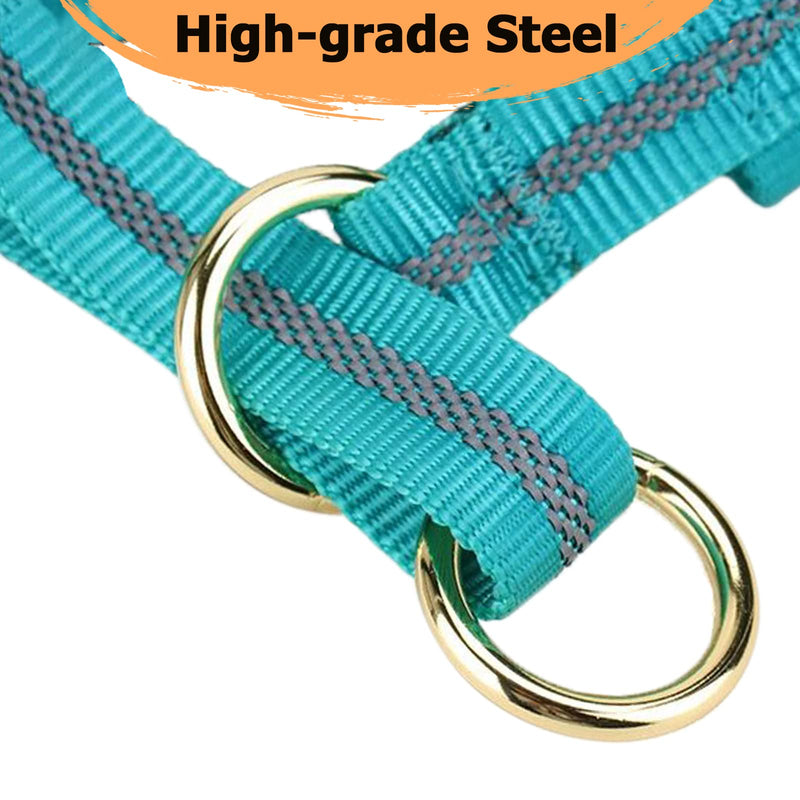Dog Head Collar, No Pull Dog Halter with Soft Padding, Durable, Reflective Training Tool for Medium Large Dogs, Labrador, Stops Heavy Pulling and Easy Control on Walks, Includes Free Training Guide Turquoise - BeesActive Australia