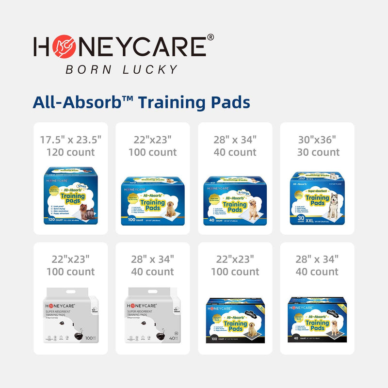 HONEY CARE All-Absorb Disposable Dog Diapers, Super Absorbent, Breathable, Wetness Indicator Medium - BeesActive Australia