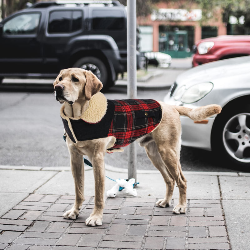 Preferhouse Winter Coat for Small and Medium Dogs, Puppy Plaid Jacket, Cotton Coat for Cold Weather, Windproof Warm Dog Garments, Pet Thickened Outfits Indoor Outdoor X-Small Red - BeesActive Australia