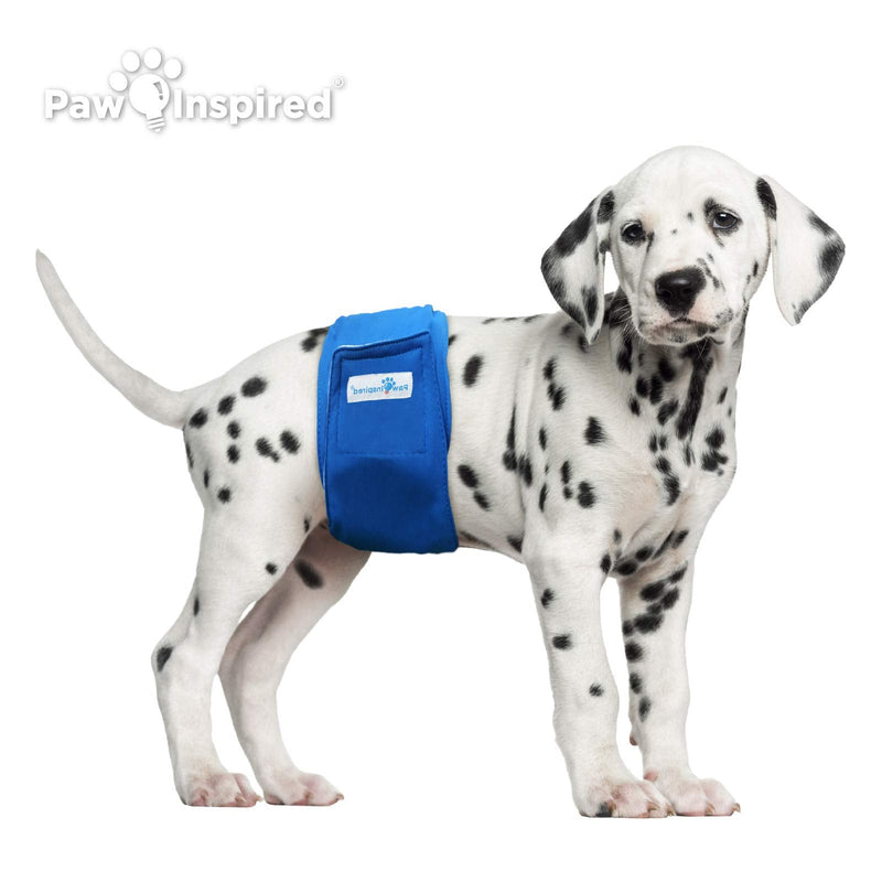 Paw Inspired Male Dog Wraps Washable, Belly Band for Dogs | Washable Dog Diapers, Reusable Male Wraps for Dogs l Cloth Male Dog Diapers for Marking and excitable Urination Small (3 ct.) Assorted (White Lining) - BeesActive Australia