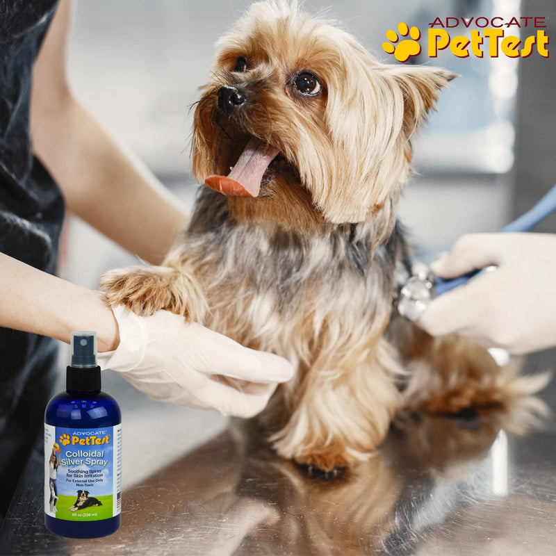 Advocate Pettest Colloidal Silver Spray Formulated for Dogs, Best Dog Antibiotic Treatment for Hot Spots, Burns, Irritations, Rashes, Wounds, Cuts & Scratches 8oz - BeesActive Australia