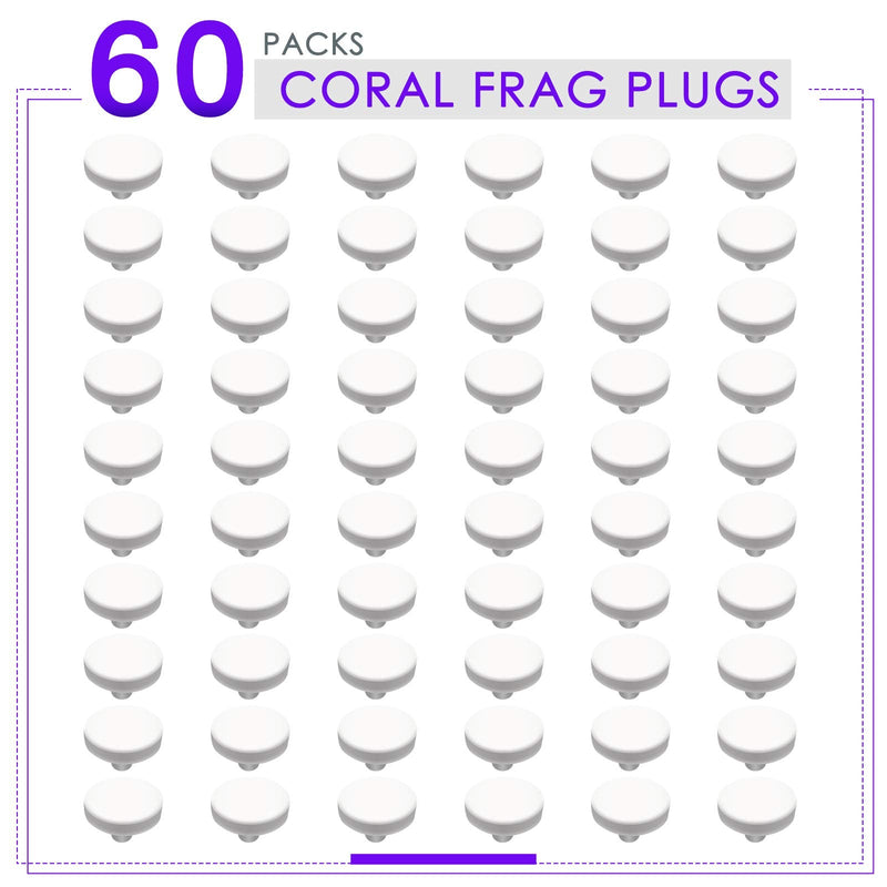 Ceramic Coralline Coral Frag Plugs 60 Pack - BeesActive Australia