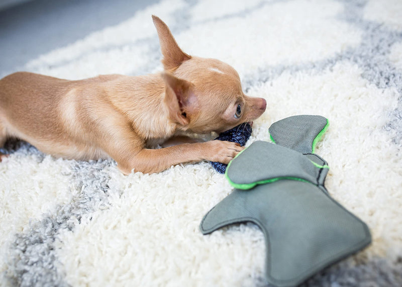 WO Wild Elephant Made in The USA Soft Plush Dog & Puppy Toy - BeesActive Australia