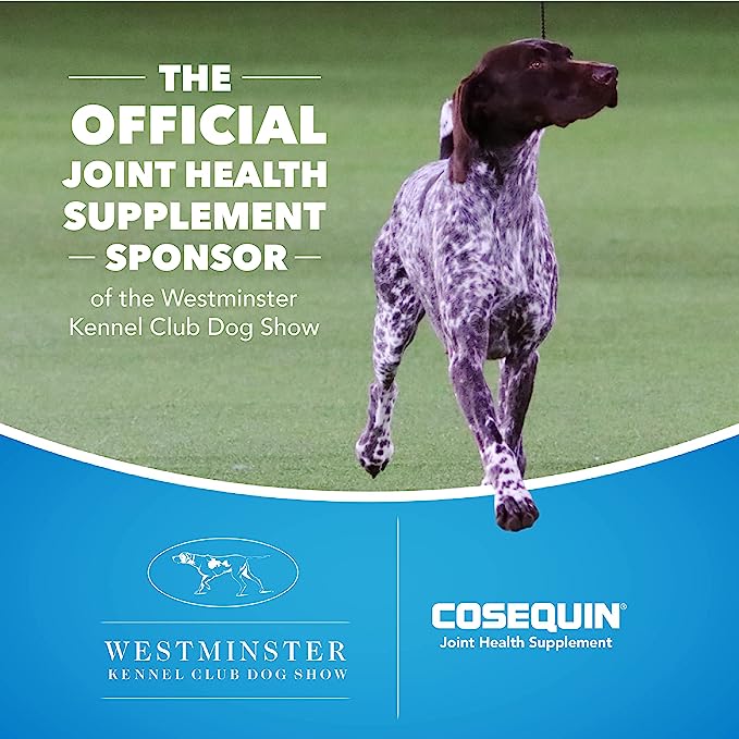 Nutramax Cosequin DS PLUS MSM Joint Health Supplement for Dogs of All Sizes - 132 Chewable Tablets - BeesActive Australia