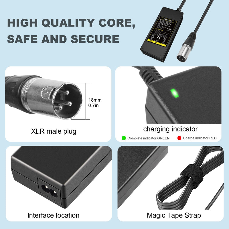 ARyee 42V 2A Scooter Battery Charger Compatible with Electric Mobility Scooter Power Chair Wheelchair with XLR Connector - BeesActive Australia