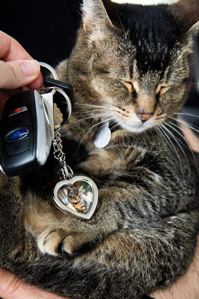 Pearhead Pet Keychains, Cat Keychains and Dog Keychains for Pet Owners, Cat Owner Accessories, Dog Owner Accessories Heart Keychain - BeesActive Australia