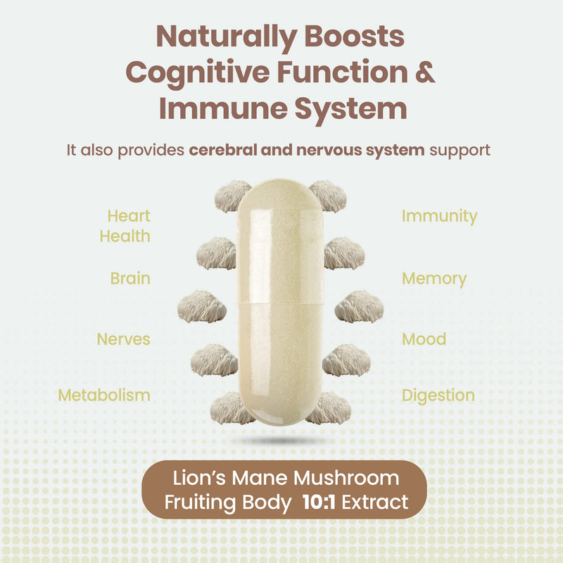 JeaKen - Lions Mane Mushroom, Immune System Booster and Brain Power Supplement, Promotes Cognitive Function and Wellness, 120 Vegan Lions Mane Capsules - BeesActive Australia