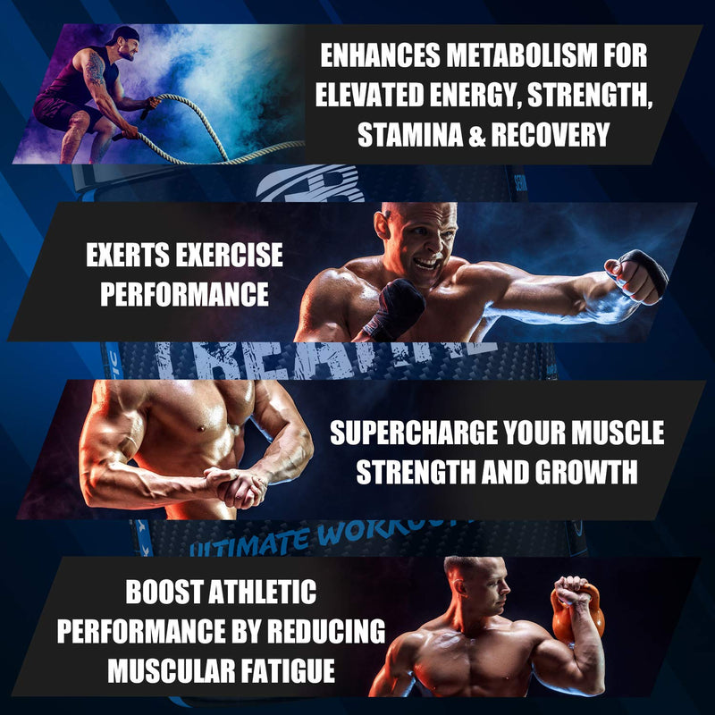 Gene Blast CREATINE XXL–Tri-Creatine Malate Plus Creatine Monohydrate w/Endurance & Pump Boosters to Amplify Strength-Muscle Pumps & Recovery 50 Servings (Unflavoured, 485G) Unflavoured 458 g (Pack of 1) - BeesActive Australia