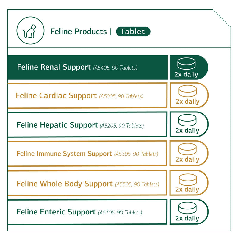 Standard Process - Feline Renal Support - Kidney and Urinary Health for Cats - 90 Tablets - BeesActive Australia