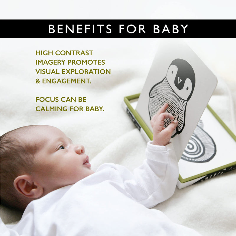 Wee Gallery Black and White Art Flash Cards for Babies, High Contrast Educational Animal Picture Cards, Baby Visual Stimulation, Brain and Memory Development in Infants and Toddlers - B&W Animals Black and White Collection - BeesActive Australia