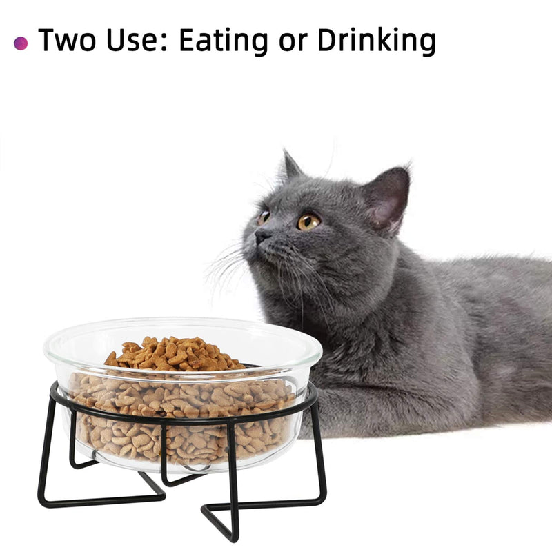 Glass Raised Cat or Small Dog Dishes with Metal Stand, 20 Ounces Pet Food or Water Bowls ,Transparent - BeesActive Australia