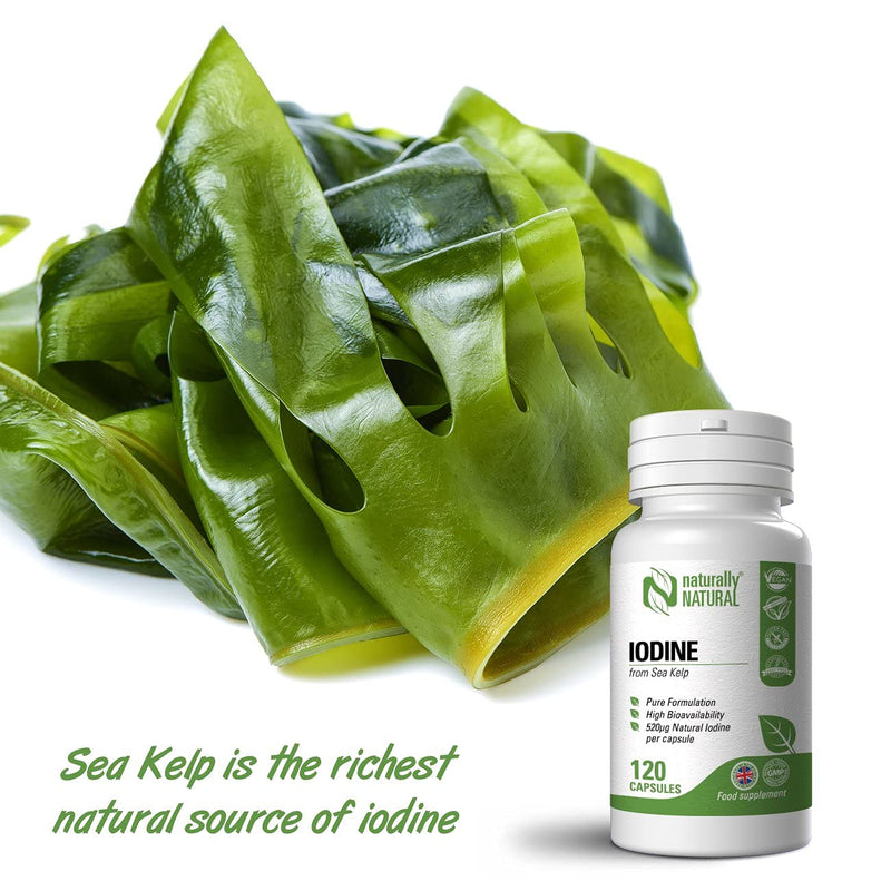 Naturally Natural Sea Kelp Iodine 120 Vegan Capsules High Dose 520mcg Iodine per Capsule Pure Formulation 4 Months Supply - BeesActive Australia