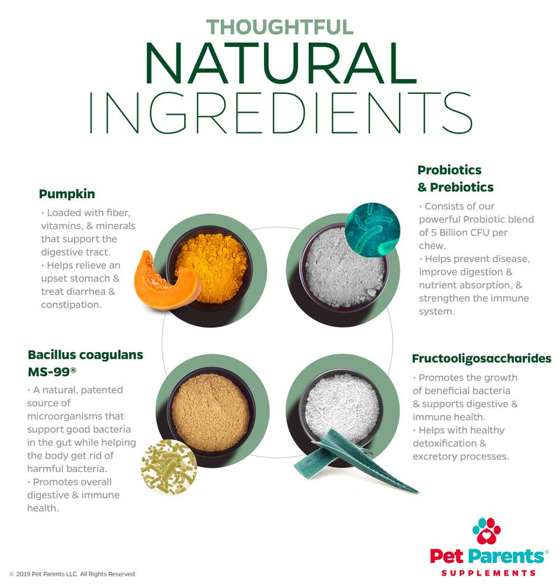 Pet Parents USA Pre & Probiotics for Dogs 4g 90c - 5.5B CFUs/Chew + Dog Enzymes + Pumpkin for Dogs, Papaya & Canine Probiotics - Dog Upset Stomach Relief, Anti Diarrhea for Dogs, Dog Probiotics - BeesActive Australia