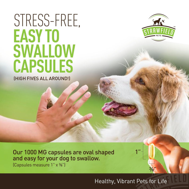 Omega 3 Fish Oil for Dogs, 250 Softgel Pills, 1000 mg EPA DHA Dog Fish Oil Pet Supplement for Joint Support Arthritis Pain Relief, Allergy Itch, Shedding, Healthy Coat, Dry Itching Skin, Hot Spot, USA - BeesActive Australia