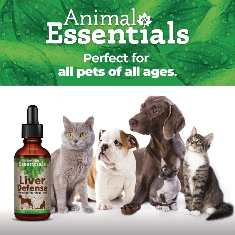 Animal Essentials Pet Supplements for Dog and Cat 2 fl oz (60 ml) - BeesActive Australia