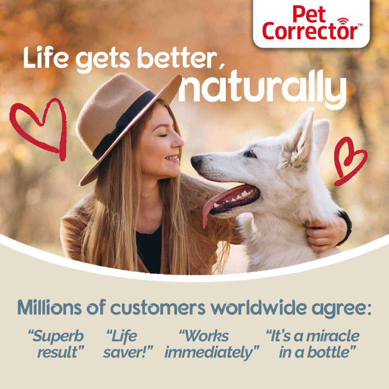 Pet Corrector Spray for Dogs 200ml- Dog Training and Correction Spray to Stop Barking, Prevent Unwanted Behaviors and Obedience Issues, Non Shock, Humane, Safe, Effective Deterrent One Pack - BeesActive Australia
