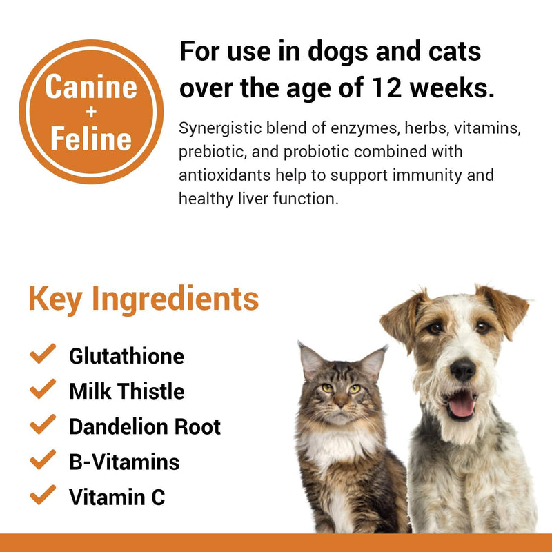 Vet Classics Liver Support Pet Health Supplement for Dogs, Cats – Liver Functions – B-Vitamins, Glutathione, Milk Thistle – Soft Tablets, Chews 120 Soft Chews - BeesActive Australia