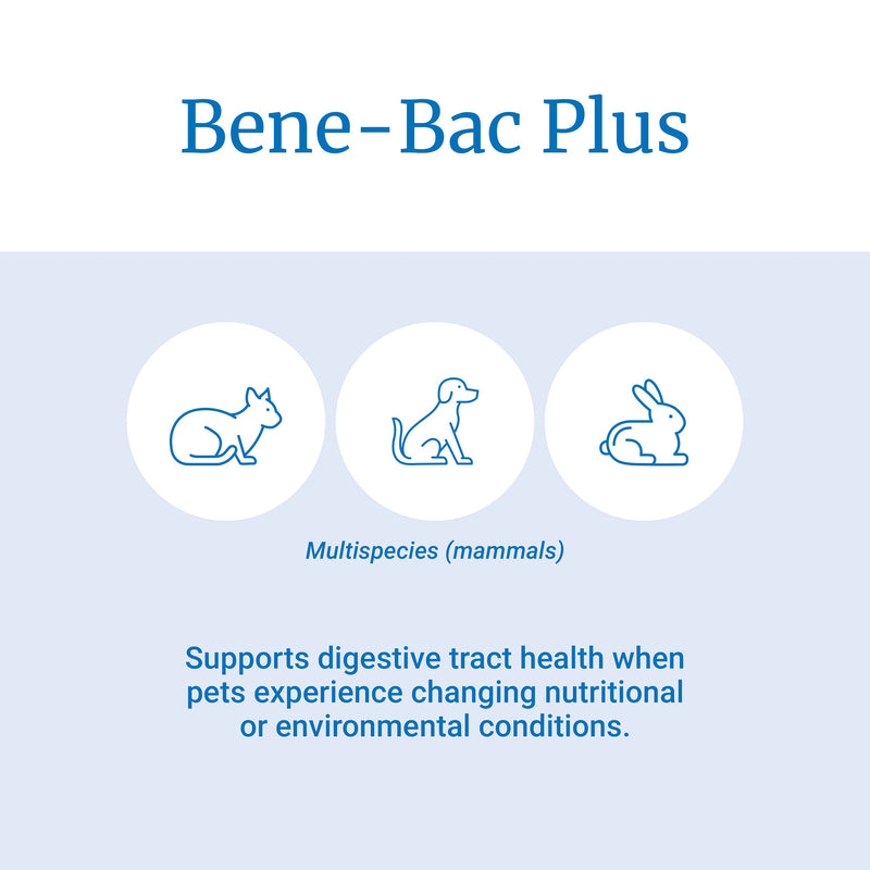 PetAg Zoologic Bene-Bac Plus Palatable Mammal Gel - With FOS for Pets Under Adverse Conditions - 30 g Syringe - BeesActive Australia