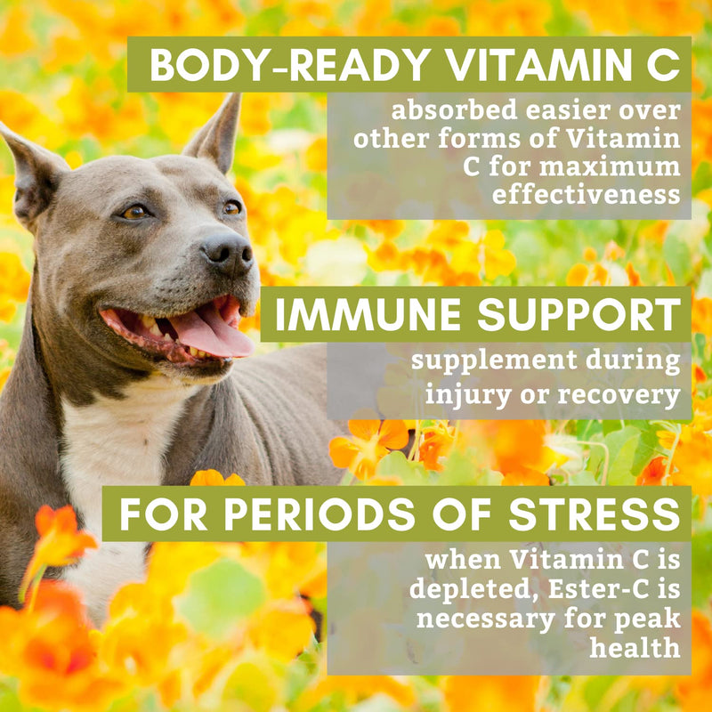 Allergy Relief & Immune Support Supplement for Dogs – Organic, Vitamin C Powder for Joint Mobility, UTI Relief and Overall Body Health for Puppies and Senior Dogs – 1000mg Ester C – Made in The USA 6 oz - BeesActive Australia