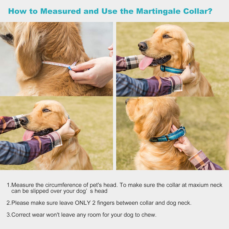 Dazzber Martingale Collar Dog Collar No Pull Pet Collar Heavy Duty Dog Martingale Collars Silky Soft with Unique Pattern for Medium and Large Dogs Medium, 1 Inch Wide Turquoise Green - BeesActive Australia