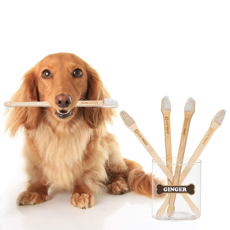 Prymal Pets Dog Toothbrush - 4-Pack Bamboo Toothbrush for Dogs + Cats - Soft Bristles - Gentle Pet Toothbrush for Easy Dog Teeth Brushing Dental Care 4 Count (Pack of 1) - BeesActive Australia