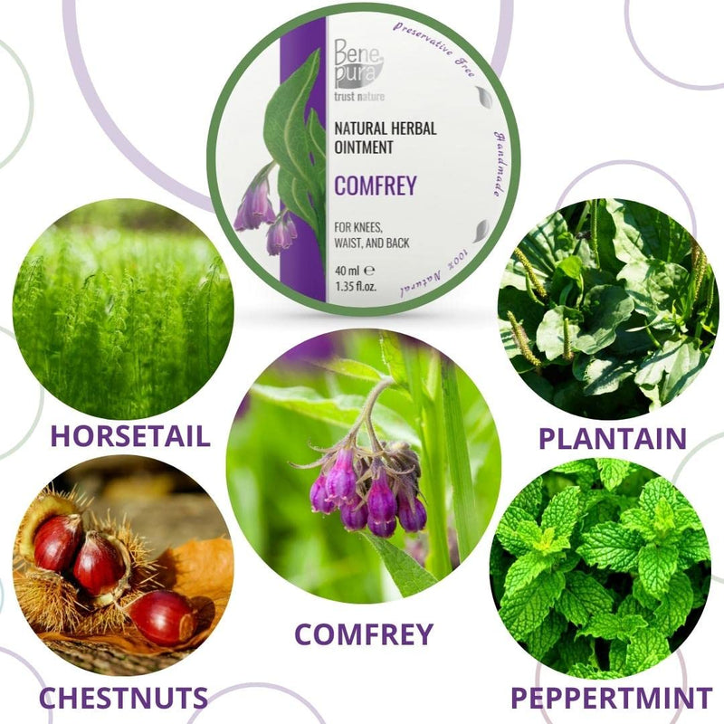 BenePura Comfrey Ointment for Muscle Pain Relief - Natural Comfrey Cream for Back Pain Relief, Joint Pain Relief, Knee Pain Relief, Neck Pain Relief - Muscle Rub Pain Relief Cream - 40 ml 40 ml (Pack of 1) - BeesActive Australia