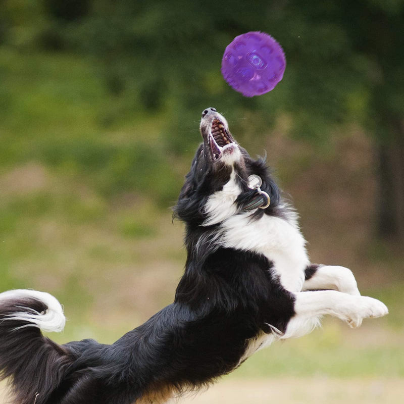 3.2 Inch Durable Pet Dog Balls Toys Rubber Squeak Dog Ball Indestructible Dog Toy Balls… Blue+Red+Purple - BeesActive Australia