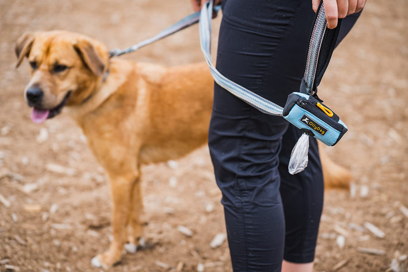 OllyDog Scoop Pick Up, Dog Poop Bag Holder, Dog Poop Bag Dispenser with Leash Attachment, Water Resistant Dog Bag Holder, Dog Accessories, Fits Standard Roll of Doggie Poop Bags Champagne - BeesActive Australia