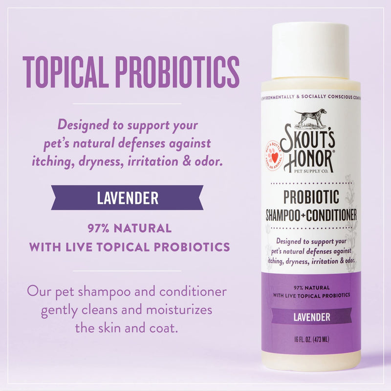 SKOUT'S HONOR: Probiotic Pet Shampoo & Conditioner - 2-in-1 with Avocado Oil - Cleans and Conditions Fur, Supports Pet’s Natural Defenses, PH-Balanced, Sulfate Free - Lavender 16 oz. - BeesActive Australia