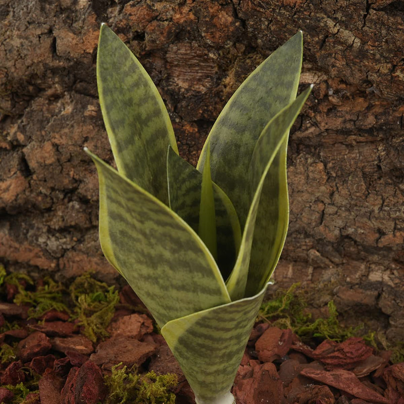 WOLEDOE Fake Snake Plants Artificial Sansevieria, Reptile Terrarium Decor, Bearded Dragon Tank Accessories fit Crested Gecko Leopard Lizard Chameleon Ball Python Snake Frog - BeesActive Australia