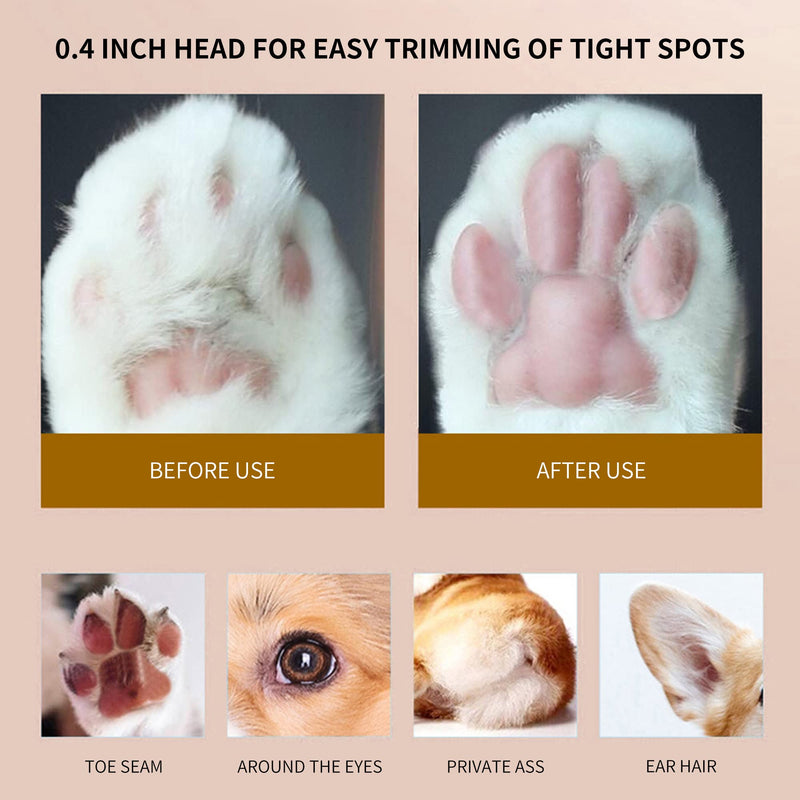 Dog Paw Clippers with LED, USB Rechargeable Professional Dog Grooming Kit, Low Noise Dog Paw Trimmer for Small Dogs and Cats Hair Around Face, Paws, Eyes, Ears, Rump (Gold) Gold - BeesActive Australia