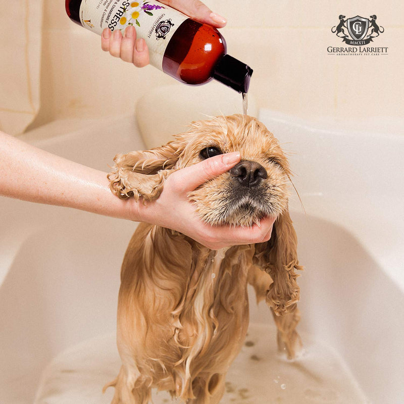 Aromatherapy Shampoo & Conditioner for Pets Dog Shampoo, Medicated Oatmeal Dog Shampoo & Pet Odor Eliminator Lavender & Chamomile - BeesActive Australia