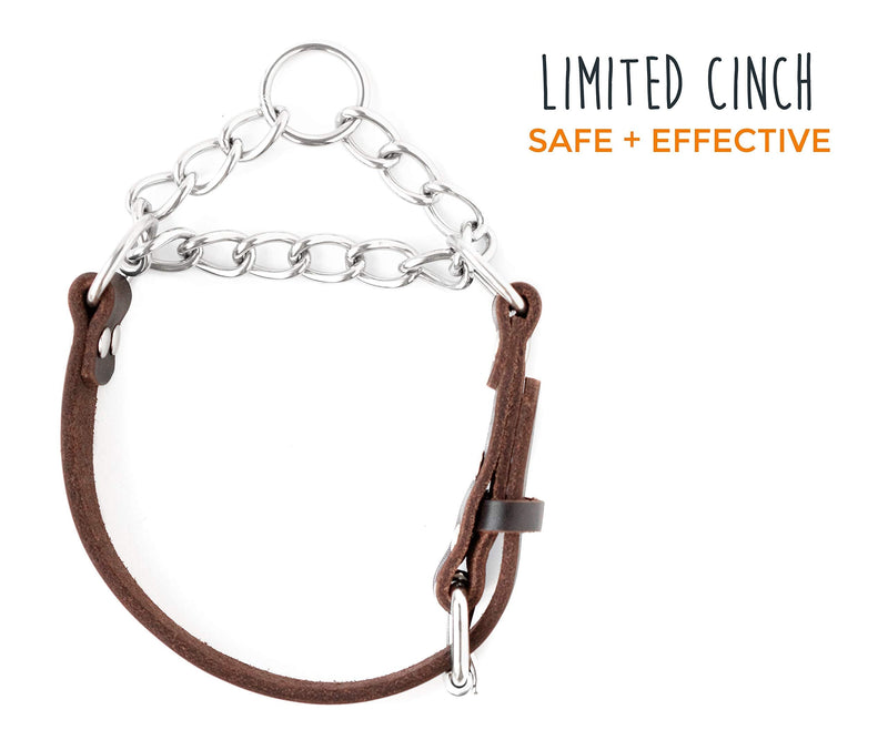Mighty Paw Leather Training Collar, Martingale Collar, Stainless Steel Chain - Premium Quality Limited Chain Cinch Collar. Medium Brown - BeesActive Australia