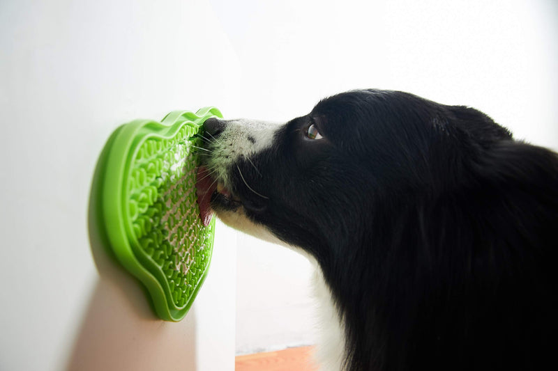 PetDreamHouse PAW 2-in-1 Slow Feeder Interactive Bowl with Removable Lick Mat - Green - BeesActive Australia