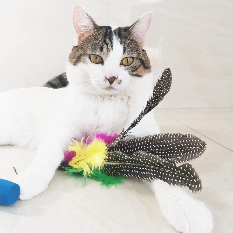 Cat Feather Toy Replacement Cat Toy Wand Teaser Refills, Natural Bird Feather Worm Refills for Indoor Cats AA-8PCS Feathers Refills - BeesActive Australia