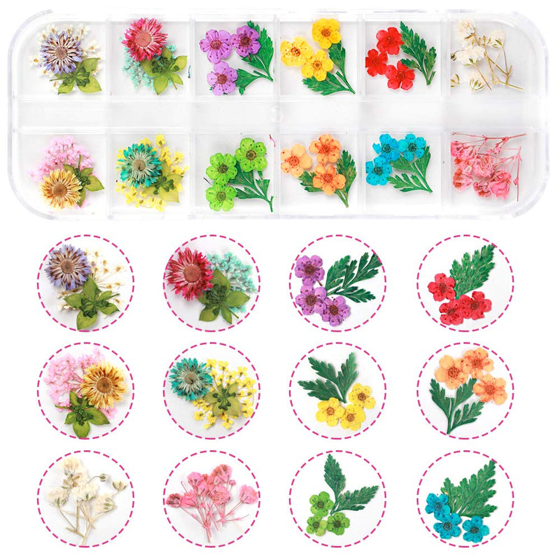 UOONY 2 Boxes Small Dried Flowers Resin Supplies, 24 Colors 3D Mini Real Natural Flowers Sticker for Nail Art with Tweezers for Tips Manicure Decor - BeesActive Australia
