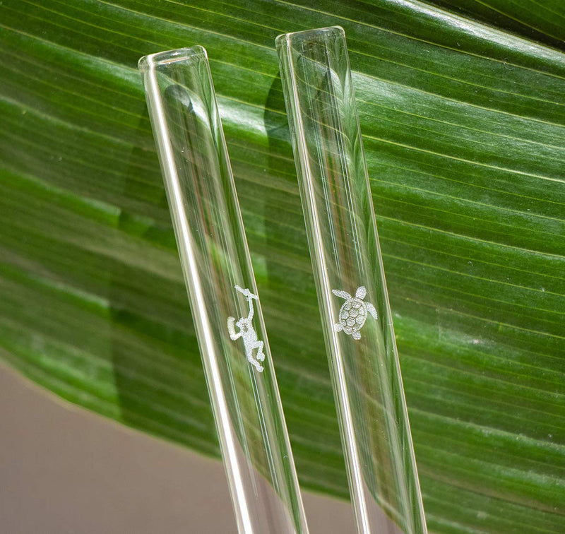 HALM Glass Straws - Earth Day Charity Edition - 6 Reusable Drinking Straws engraved with Endangered Animals - 20 cm (8 in) x 0.9 cm - Made in Germany - Dishwasher Safe - Eco-Friendly - BeesActive Australia