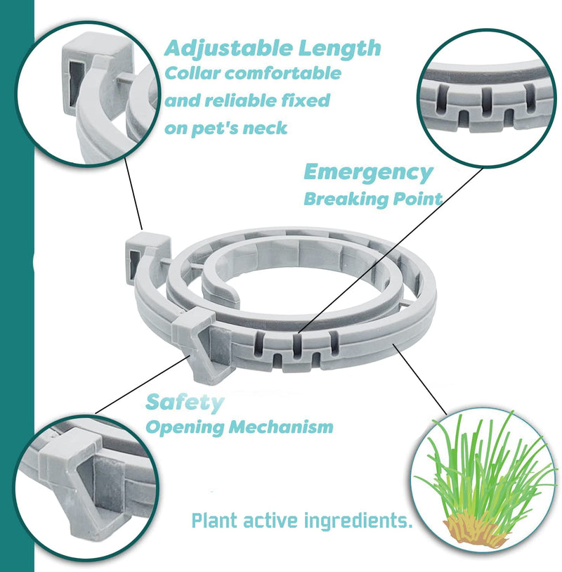 Flea and Tick Collar for Small Dog, Made with Natural Plant Based Essential Oil, Safe and Waterproof, Free Comb and Prevention Treatment Drop, 2x6 Month, 13.8 in (2 Packs) - BeesActive Australia