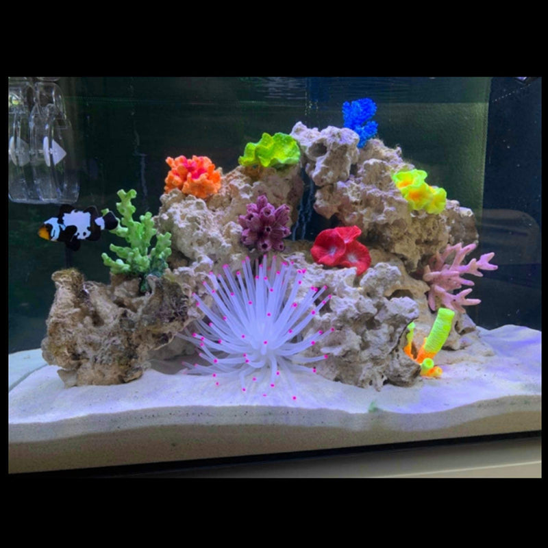Mallofusa Artificial Aquarium Fish Tank Decoration Silicone Sea Anemone Artificial Fish Tank Ornament Decoration White - BeesActive Australia