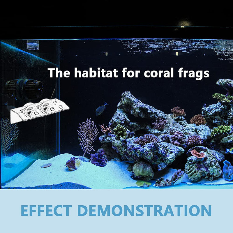 Coral Frag Holder Acrylic Coral Frag Rack with Powerful Double Suction Cups Suitable for Household Fish Tanks (10 Plug Holes) - BeesActive Australia