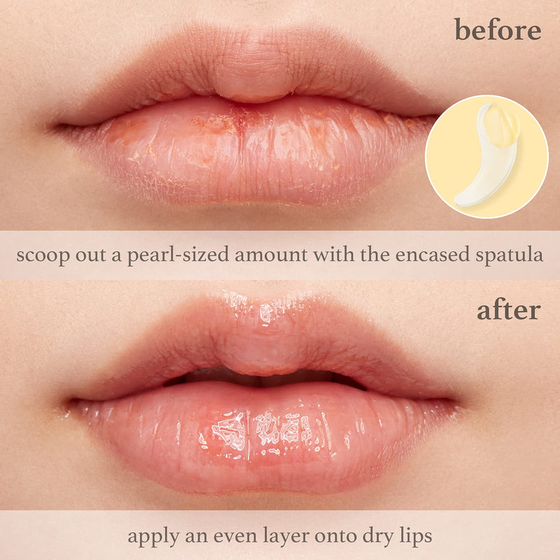 NOONI Applebutter Lip Mask with Shea Butter, AHAs, and Vitamins A,C & E | Moisturizing Lip Mask Overnight | Korean Skincare for Cracked Lip Repair | Cruelty-free, Gluten-free, Paraben-free - BeesActive Australia