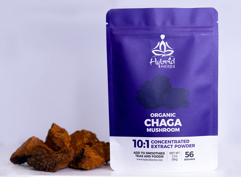 HYBRID HERBS � Organic Wild Chaga Mushroom | 10:1 Extract Powder | Natural Supplement | Immune, Skin & Brain Support | Rich in Antioxidants, Beta Glucans & Terpenes | 56 Servings (56g) - BeesActive Australia
