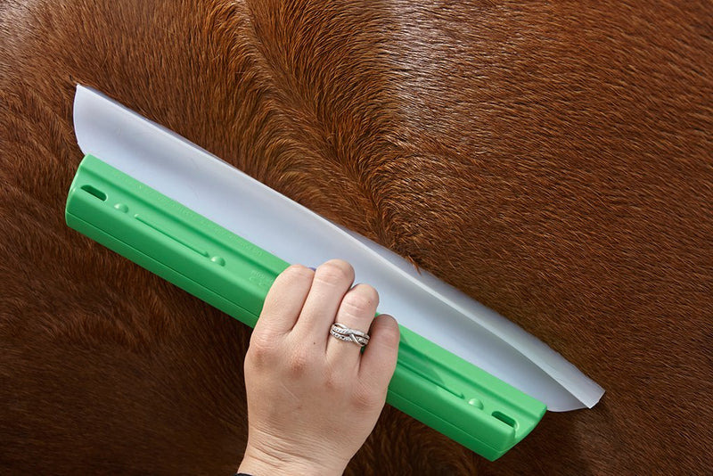 [AUSTRALIA] - One Pass Horse & Livestock Body Blade, Sweat Scraper 