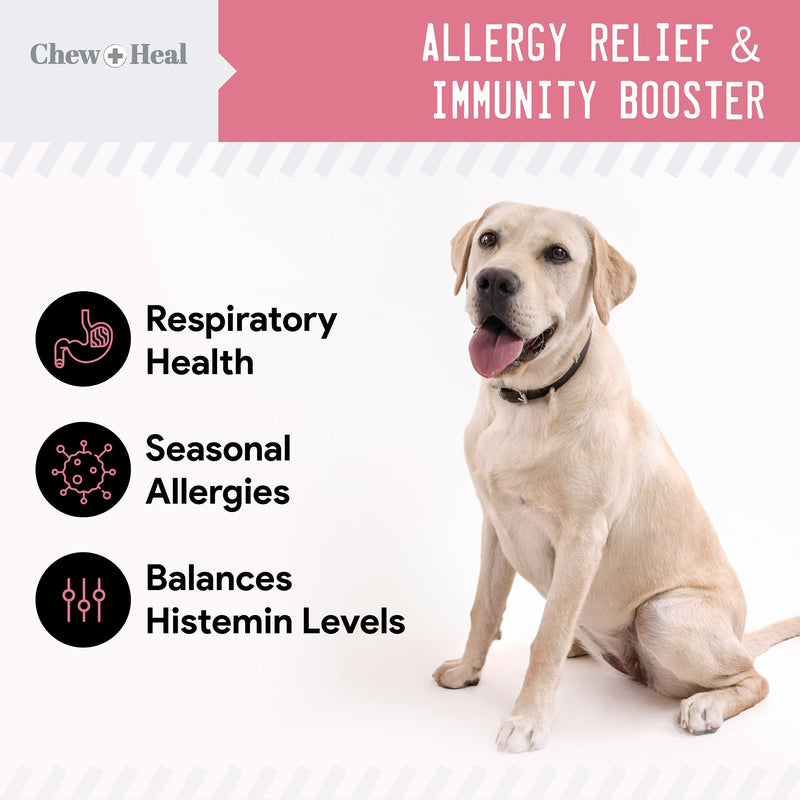 Dog Allergy Chews with Antioxidants, 90 Delicious Soft Chew Treats - Immune System and Respiratory Health Booster for Dogs and Cats - Seasonal Allergies Relief, Skin Health - Made in The USA - BeesActive Australia