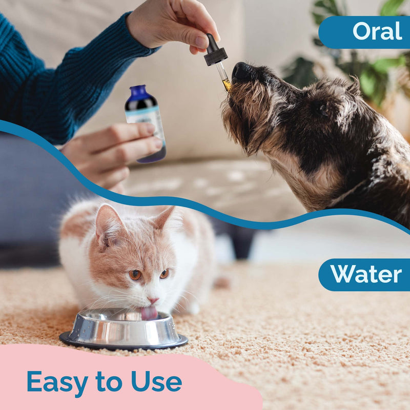 Prana Pets Cold Support for Cats and Dogs - BeesActive Australia
