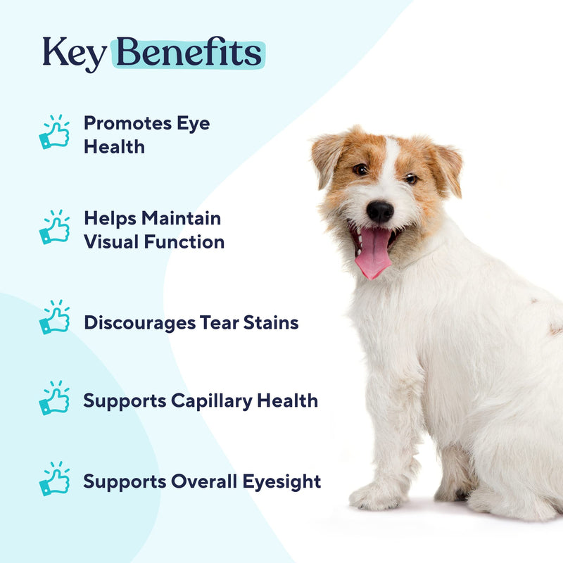 Pawfy Eye Support Soft Chews | Prevent Tear Stains | Support Eyesight | Overall Eye Health | with Luthein, Krill Oil & Astaxanthin - BeesActive Australia