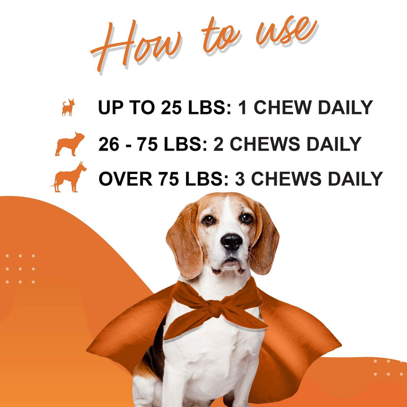 Wonder Paws Probiotics for Dogs – Daily Probiotic Supports Gut Health, Digestion, Gas, Bloating, Constipation, Stomach Relief & Immune Support - With Natural Probiotic & Prebiotic – 90 Probiotic Chews - BeesActive Australia