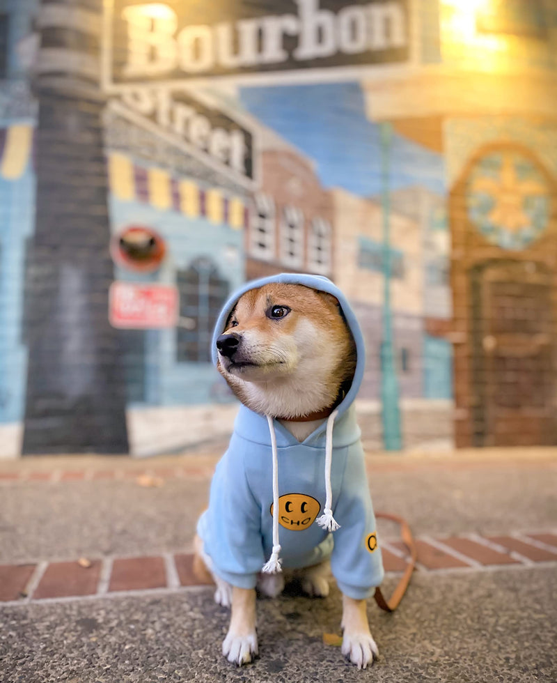 ChoChoCho Smile Dog Hoodie, Smiley Face Dog Sweater, Stylish Dog Clothes, Cotton Sweatshirt for Dogs and Puppies, Fashion Outfit for Dogs Cats Puppy Small Medium Large 3XL (Chest: 23.6''-28'' / Suggest: 31-50 lbs) Baby Blue - BeesActive Australia