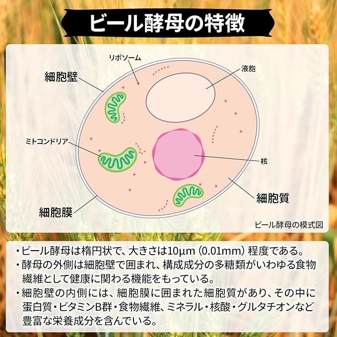 NICHIGA 06 Domestic Brewer's Yeast, Powder, 2.2 lbs (1 kg), Rich in Protein, Bitter Taste Treatment, Balanced with Various Nutrients, No Preservatives or Colorings - BeesActive Australia