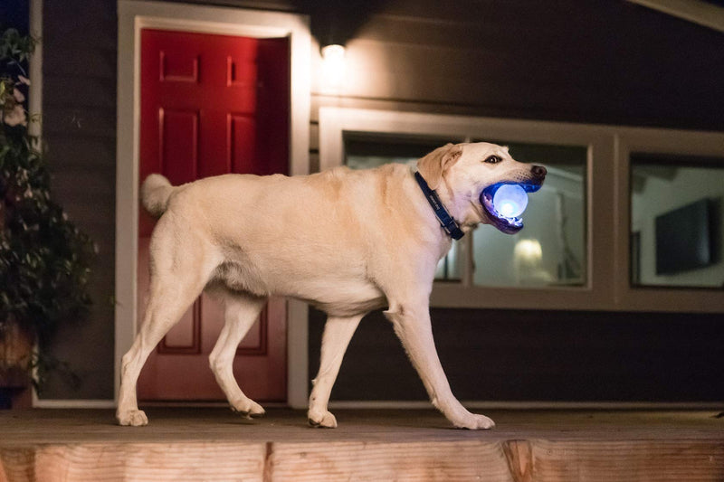 Planet Dog Orbee-Tuff Interactive Ball Dog Toys Strobe (LED Light-up Ball) One-Size Glow in The Dark - BeesActive Australia